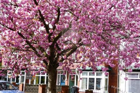 4 bedroom terraced house for sale, Linden Grove, Middlesbrough