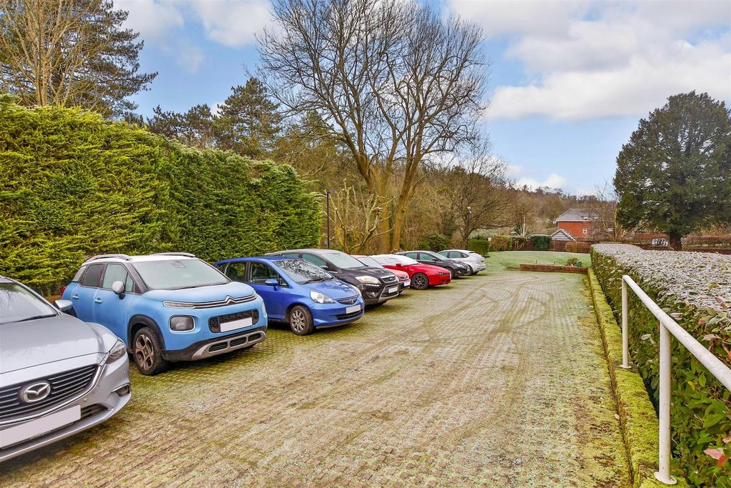 Driveway/Parking