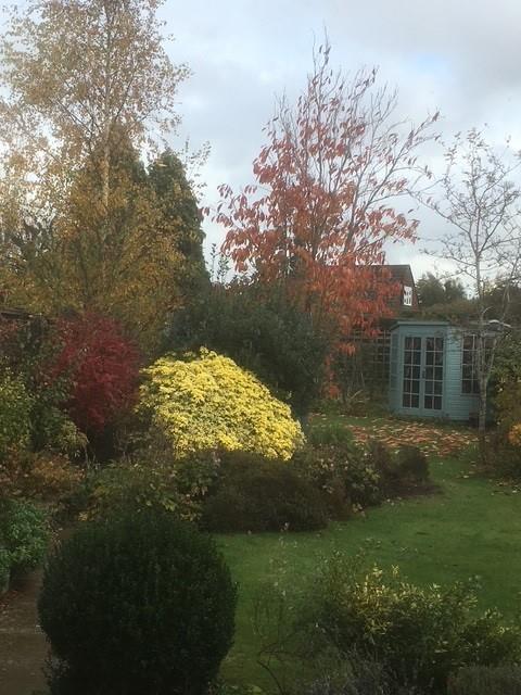 166 garden 2.jpg