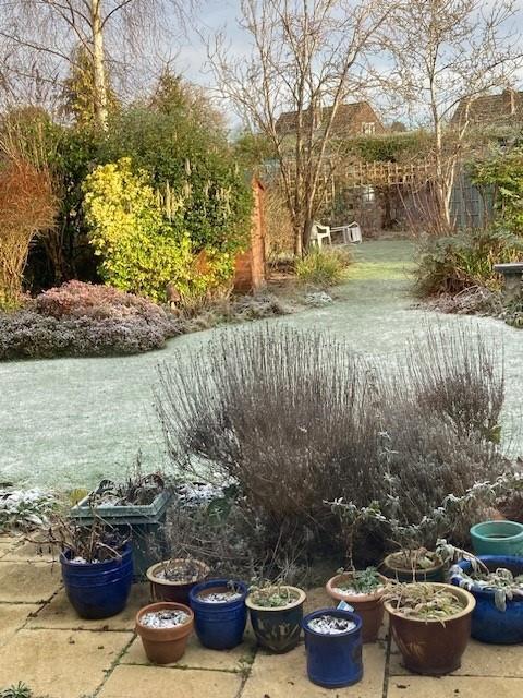 166 garden.jpg