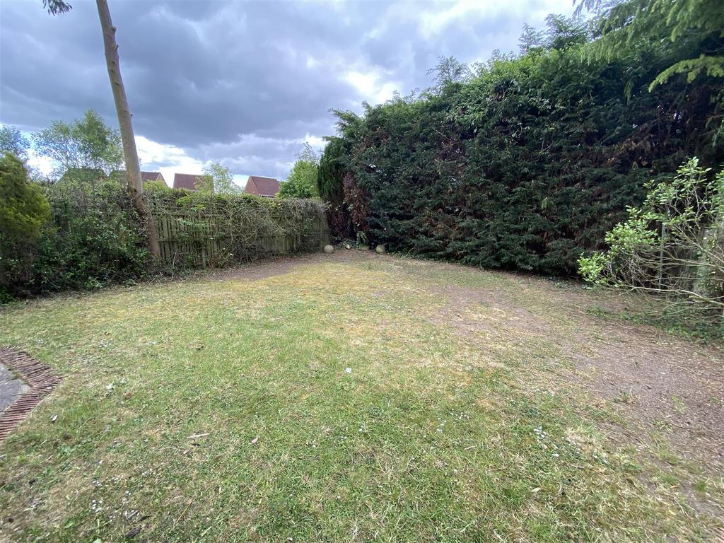 IMG 7782.jpeg