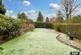 Garden.jpg