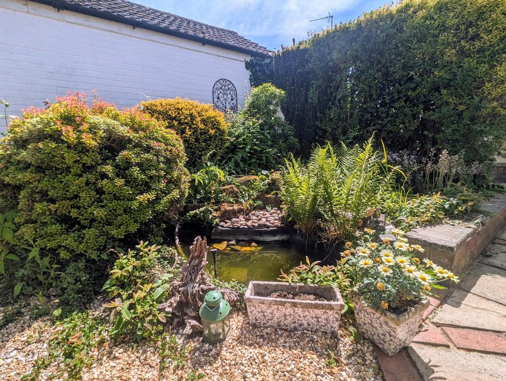 Picture 20