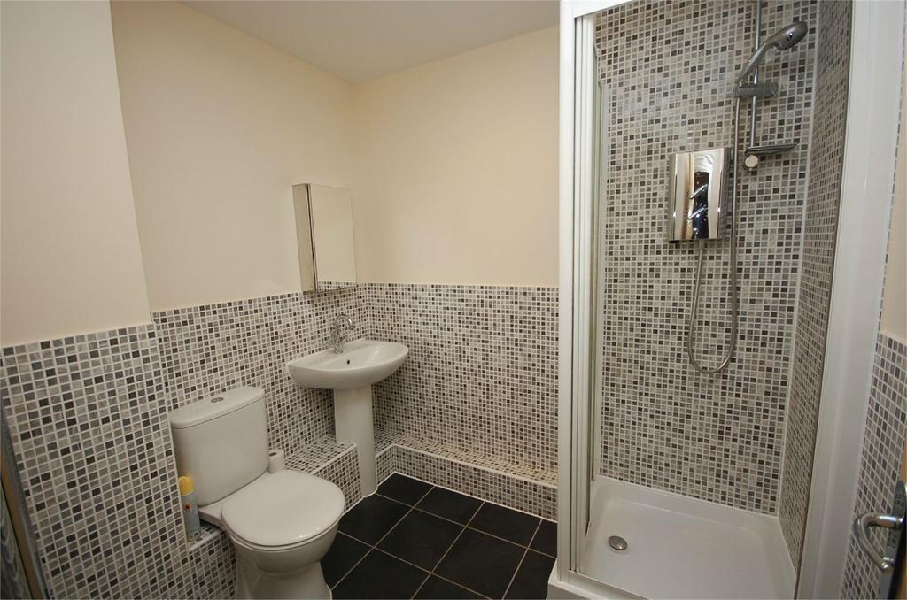 Photograph 7