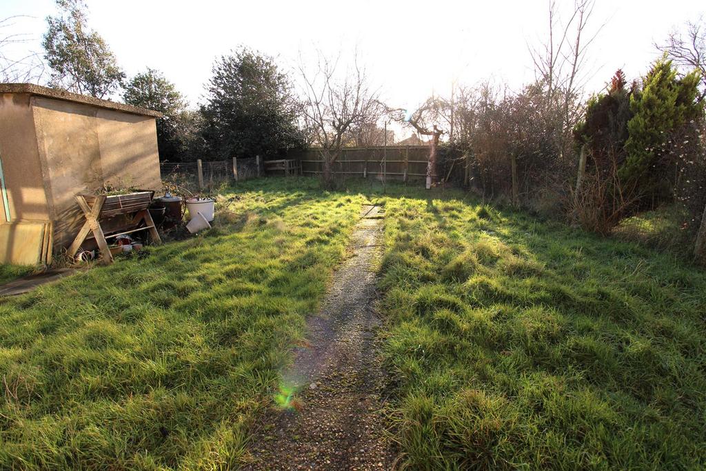 New garden 1.JPG