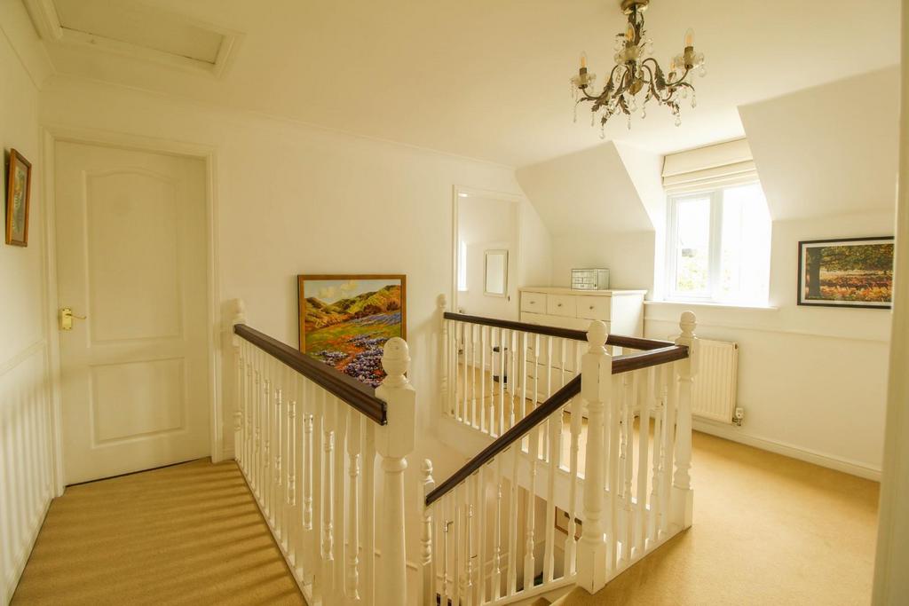 IMG 9958.jpg