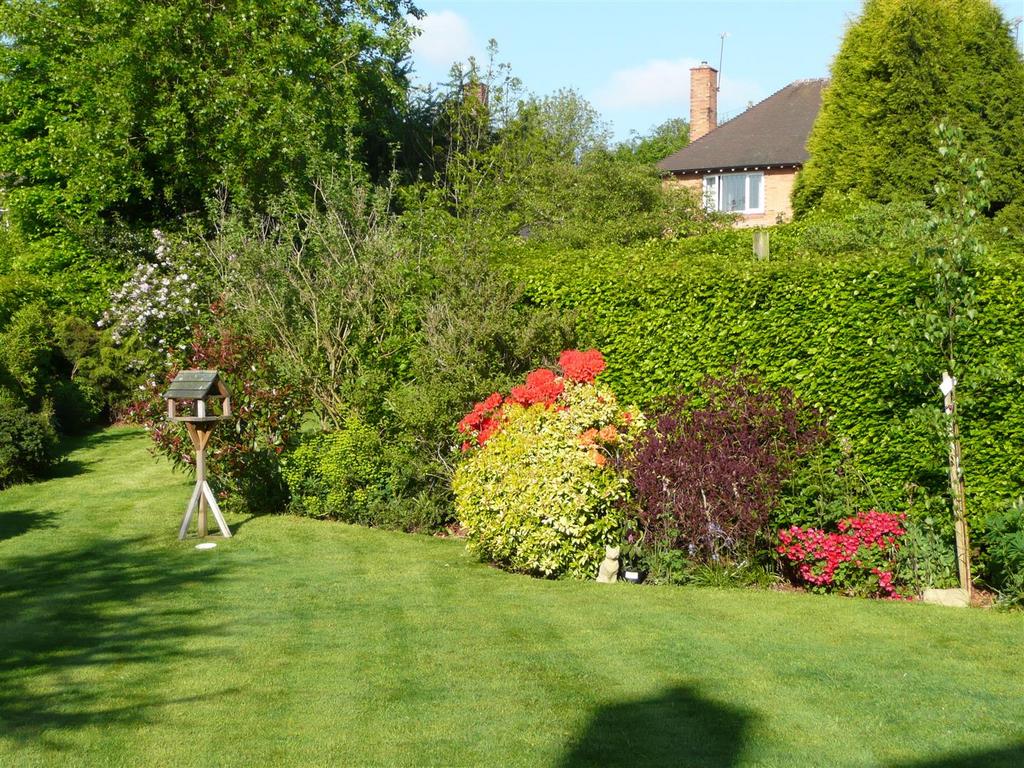 Summer garden image 4