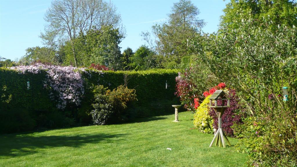 Summer garden image 3