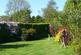 Summer garden image 3