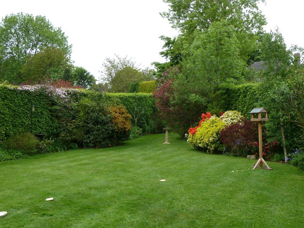 Summer garden image