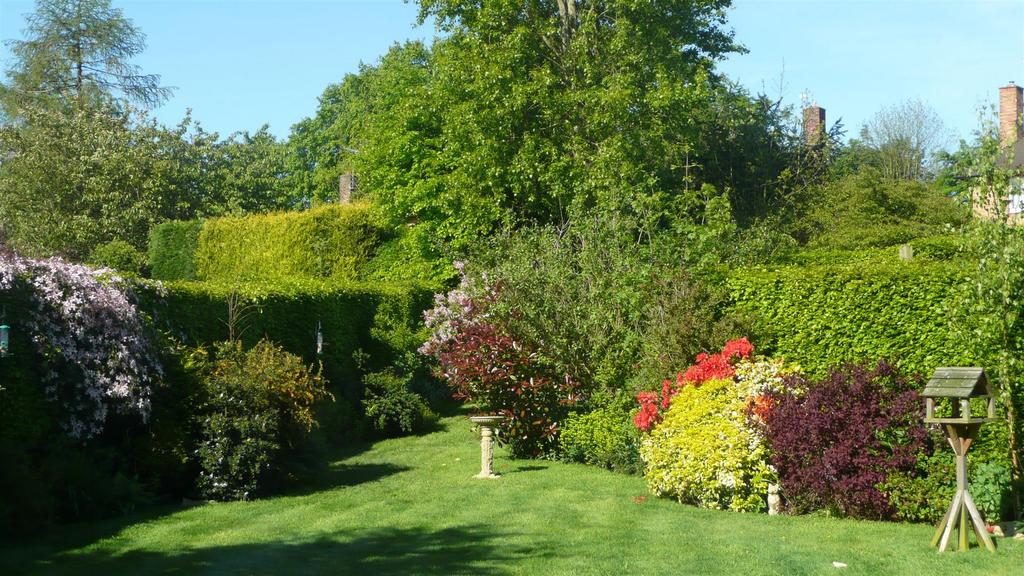 Summer garden image 2