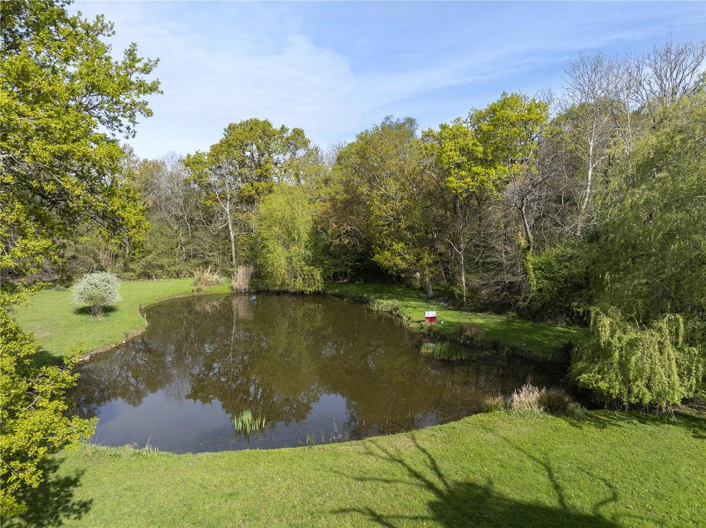 Pond