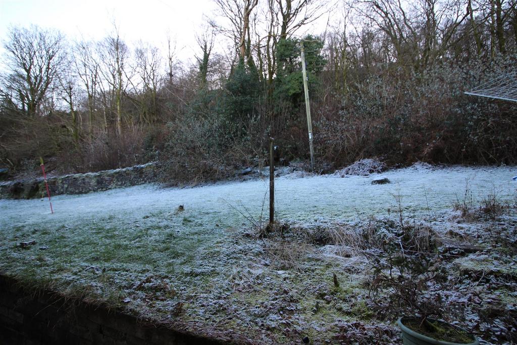Garden.JPG