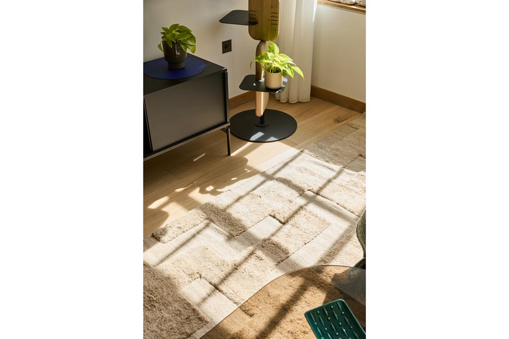 Arclight Lofts, Covent Garden WC2 Reception Shadow