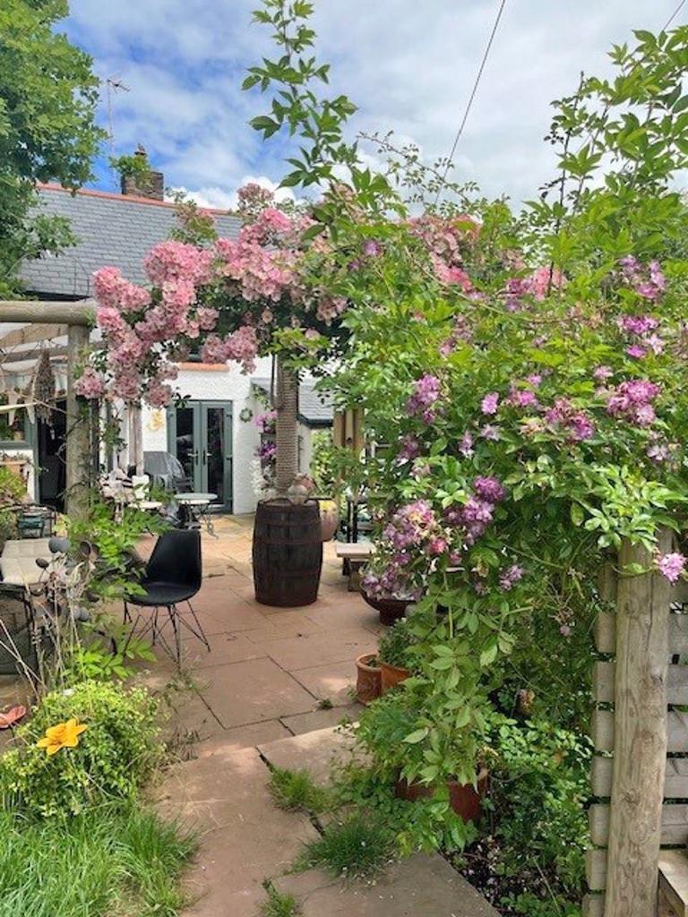 Garden in summer