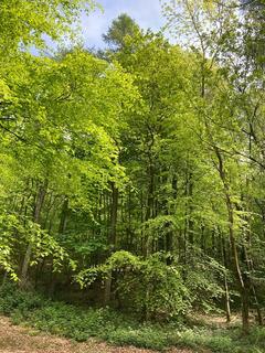 Land for sale, Maeshafn, Denbighshire, Wales