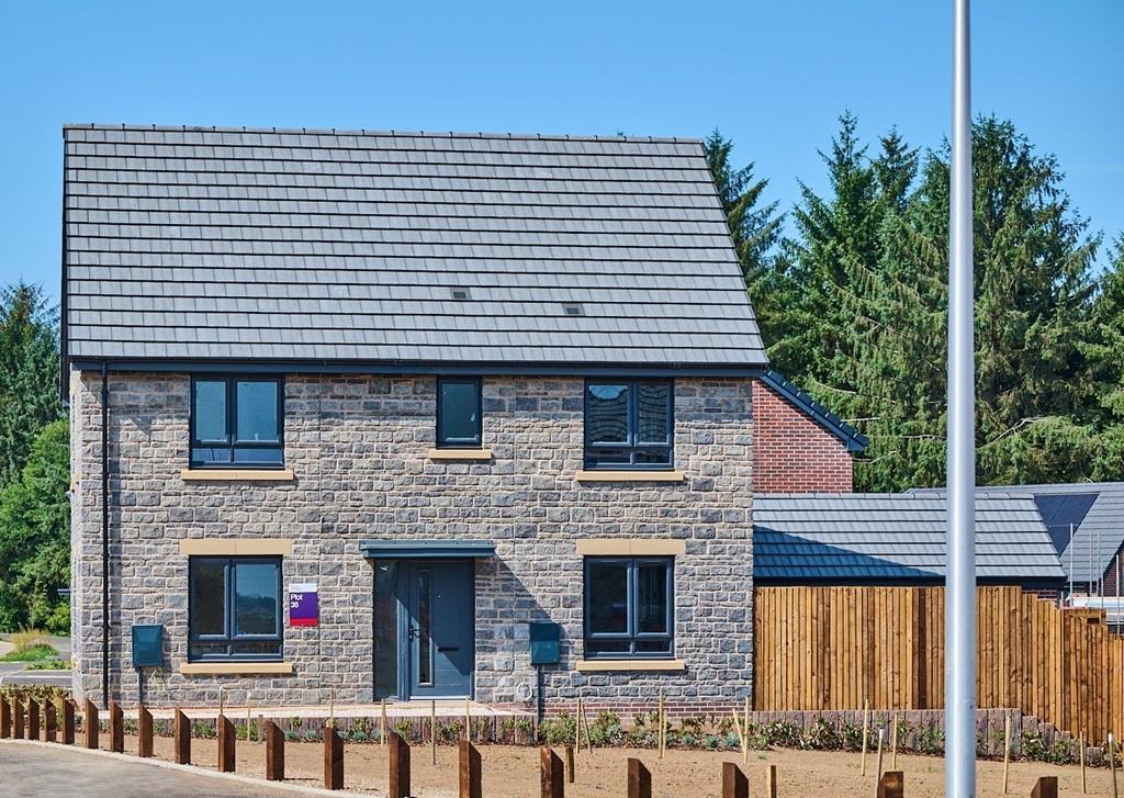 Our Plumdale at Melin Newydd