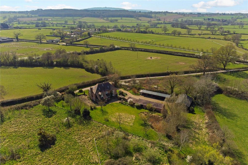 Aerial Shot