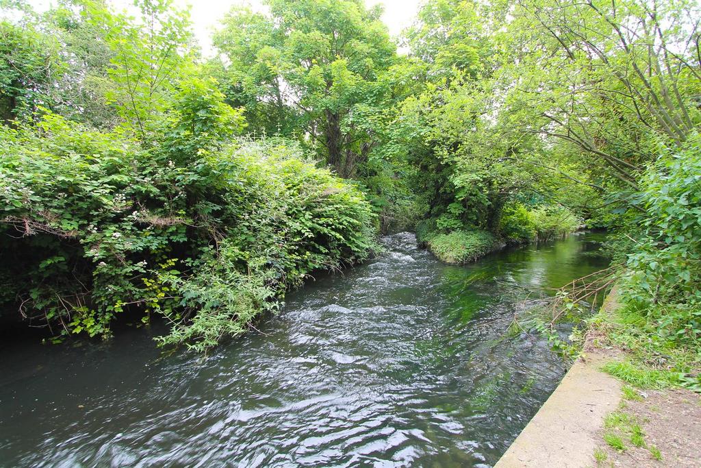 IMG 0105.jpg