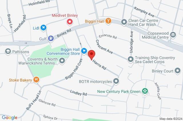 Google Maps Image