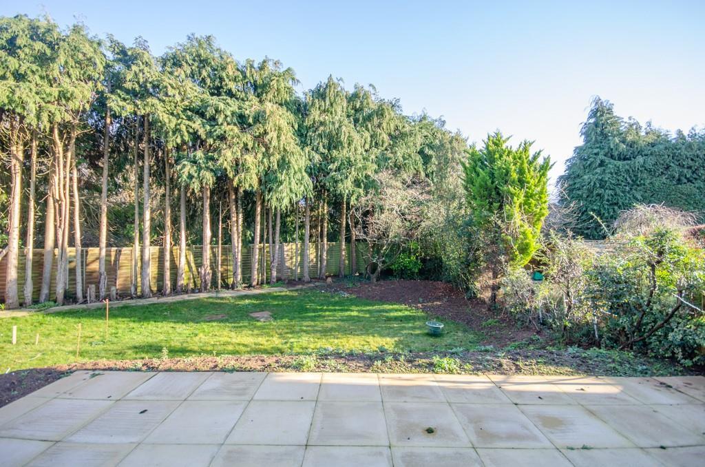 Rear garden.jpg