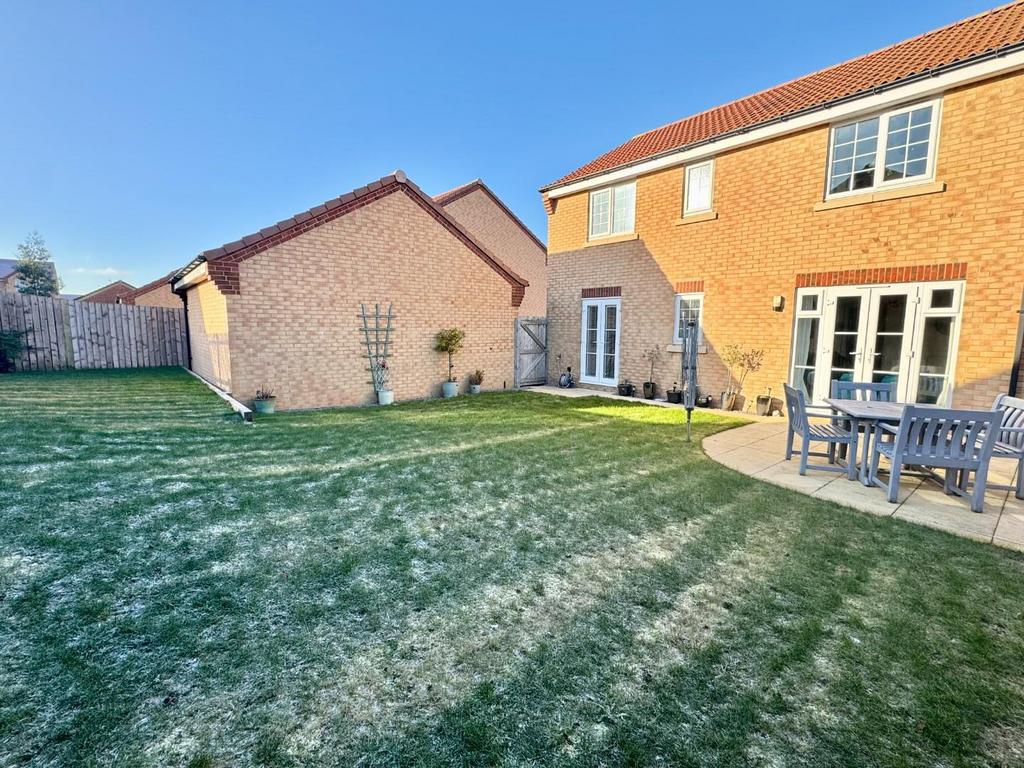 Back Garden