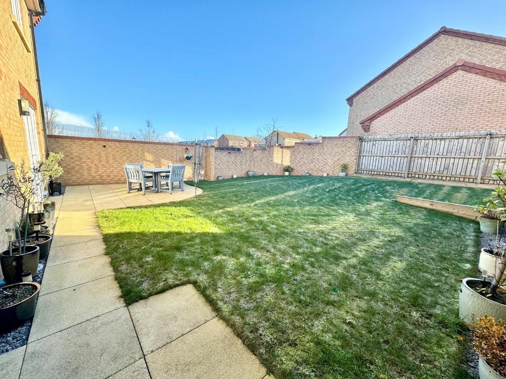 Back Garden