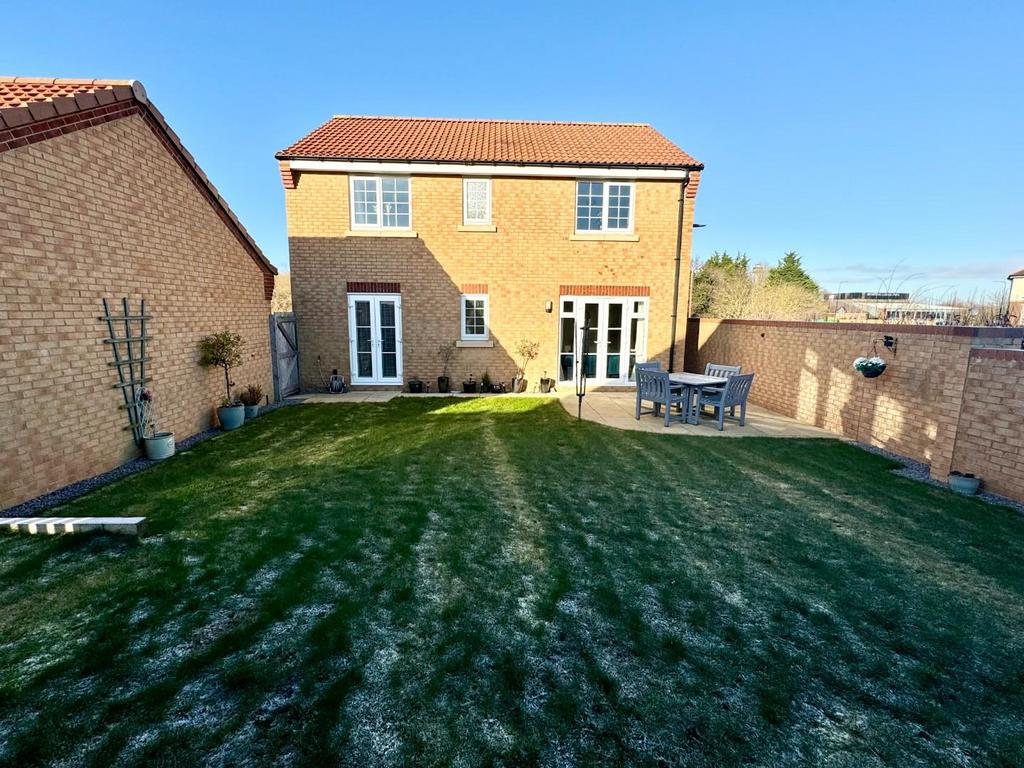 Back Garden