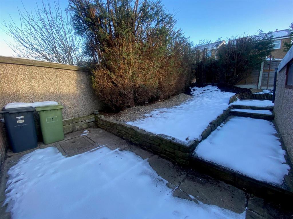 BACK GARDEN.jpg