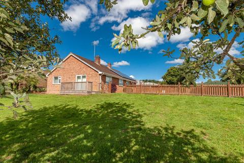 3 bedroom detached bungalow to rent, Cheriton Fitzpaine, Crediton, EX17