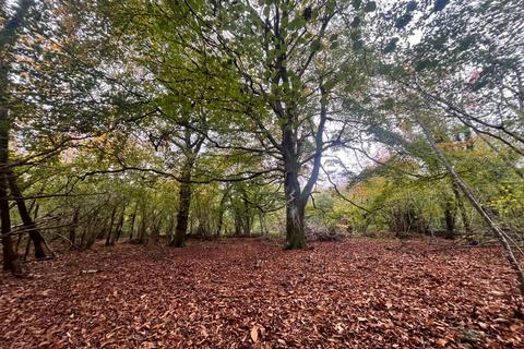 undefined, Land At Petworth, Ides Common, Eartham