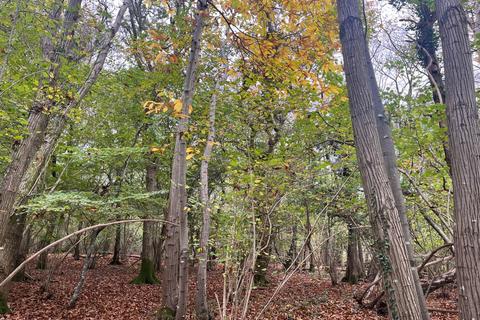 undefined, Land At Petworth, Ides Common, Eartham