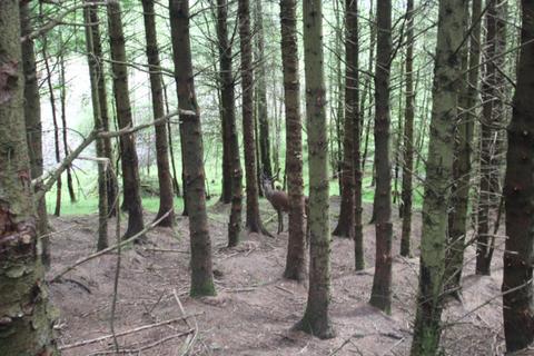 Land for sale, Rutting Season 9, Spean Bridge, Highland, PH34 4EX