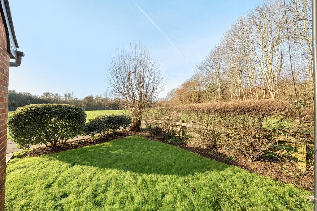 Garden view, garden