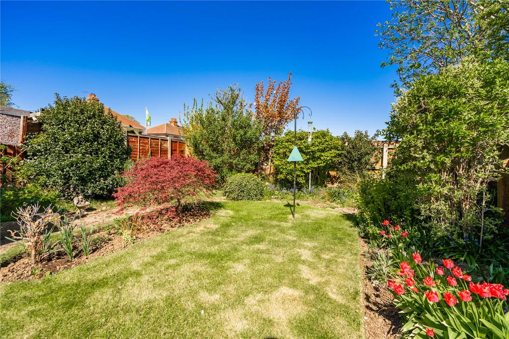 Garden (2)