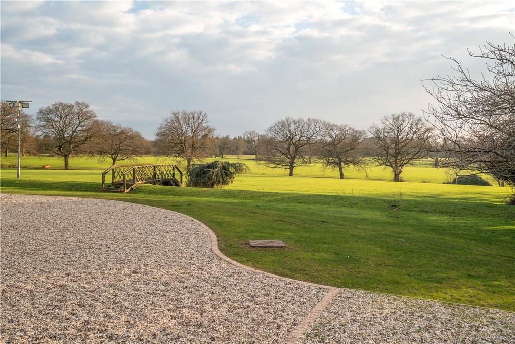 Grounds