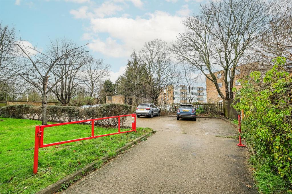 10 alders close-16 web.jpg