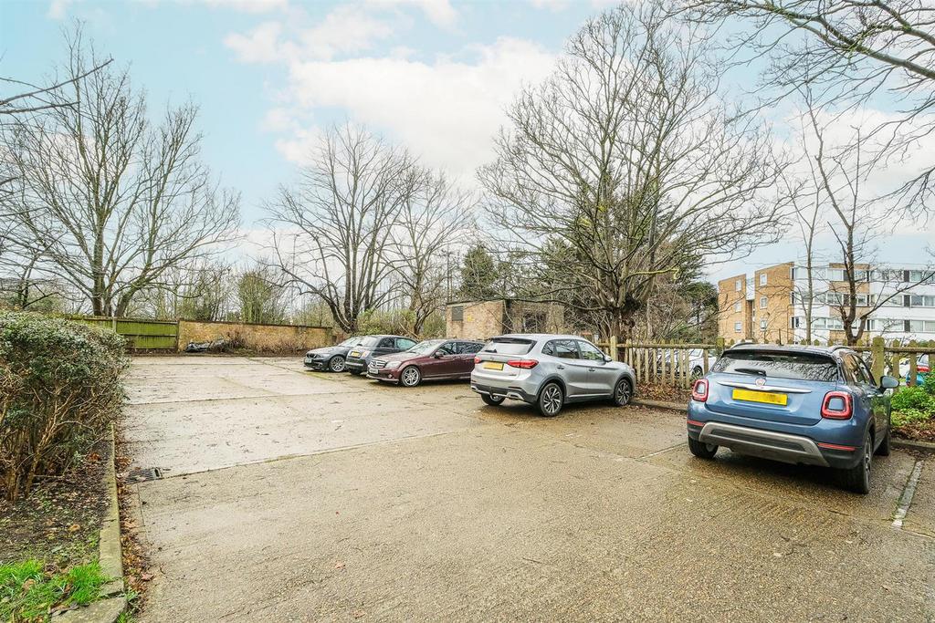 10 alders close-18 web.jpg