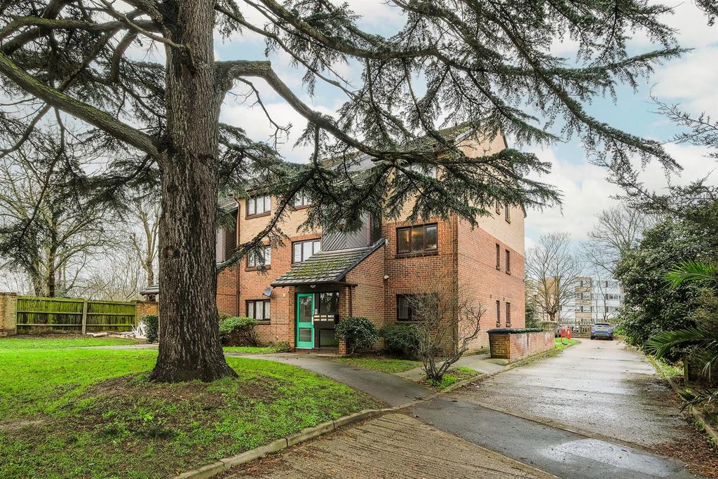 10 alders close-15 web.jpg