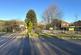 Thumbnail IMG 2657.jpg