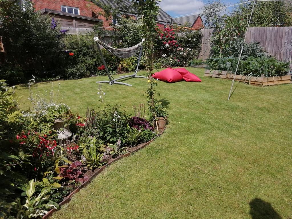 Rear Garden 2