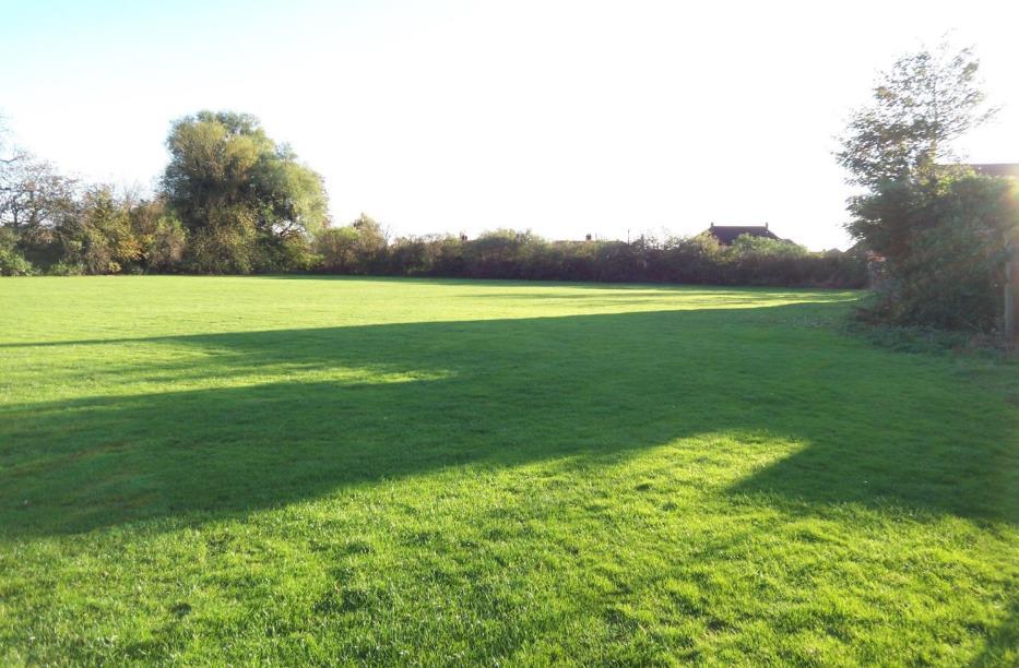 Ramby's Site Pic 2.png