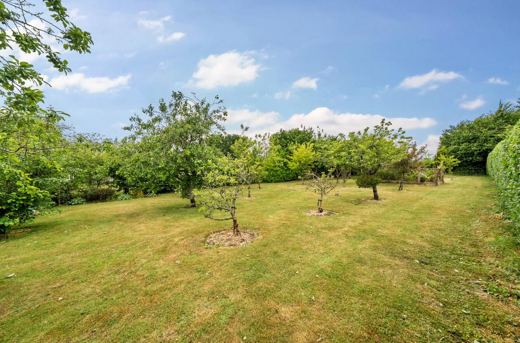 1304311-5-6841d68...