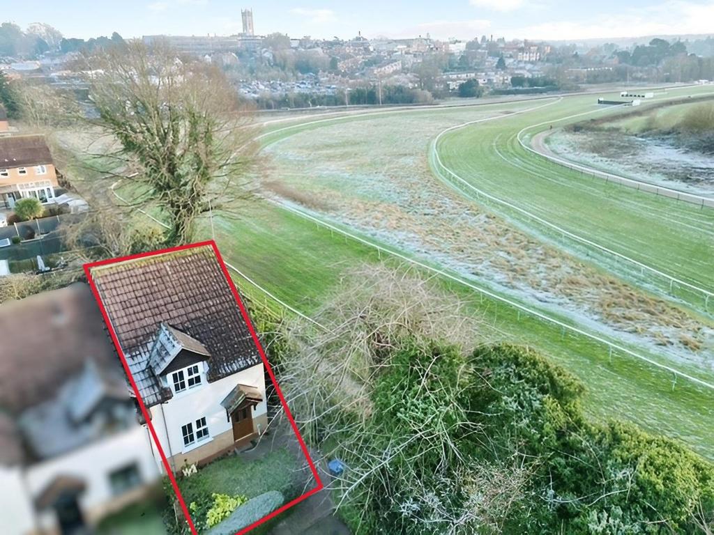 Elevated View.jpg