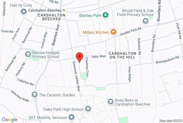 Google Maps Image