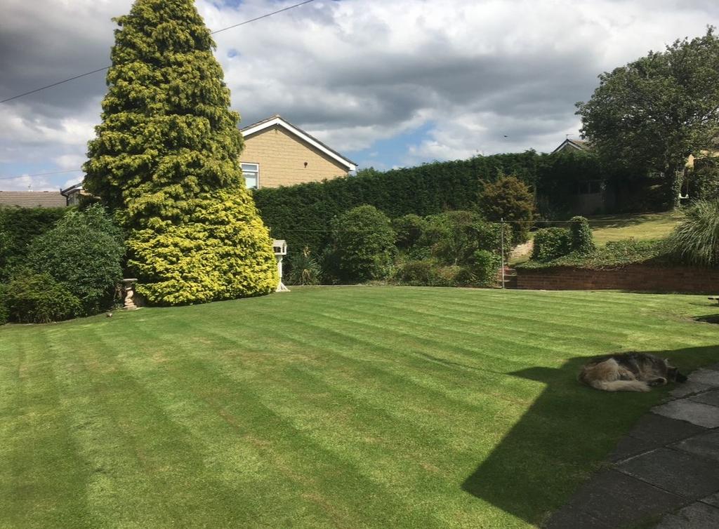 Side Garden