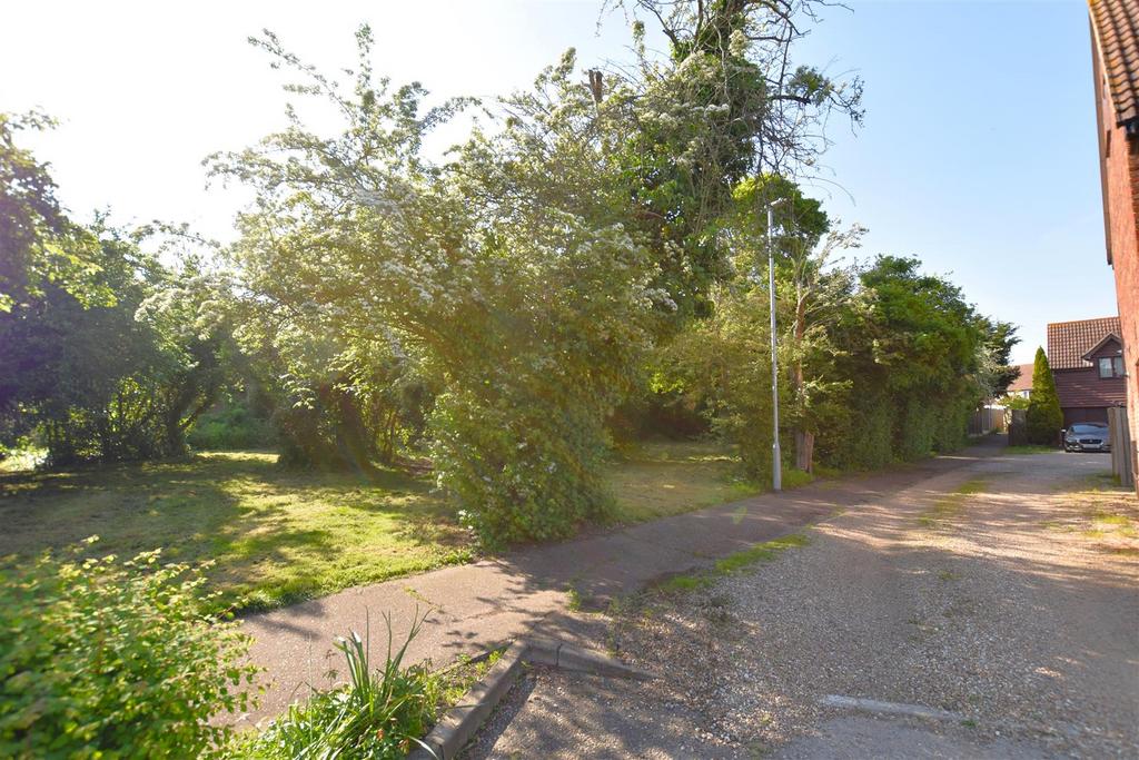 Driveway.JPG