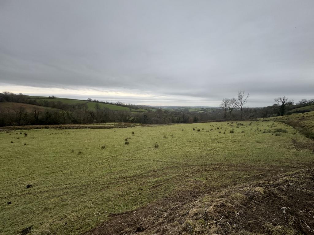The agricultural land