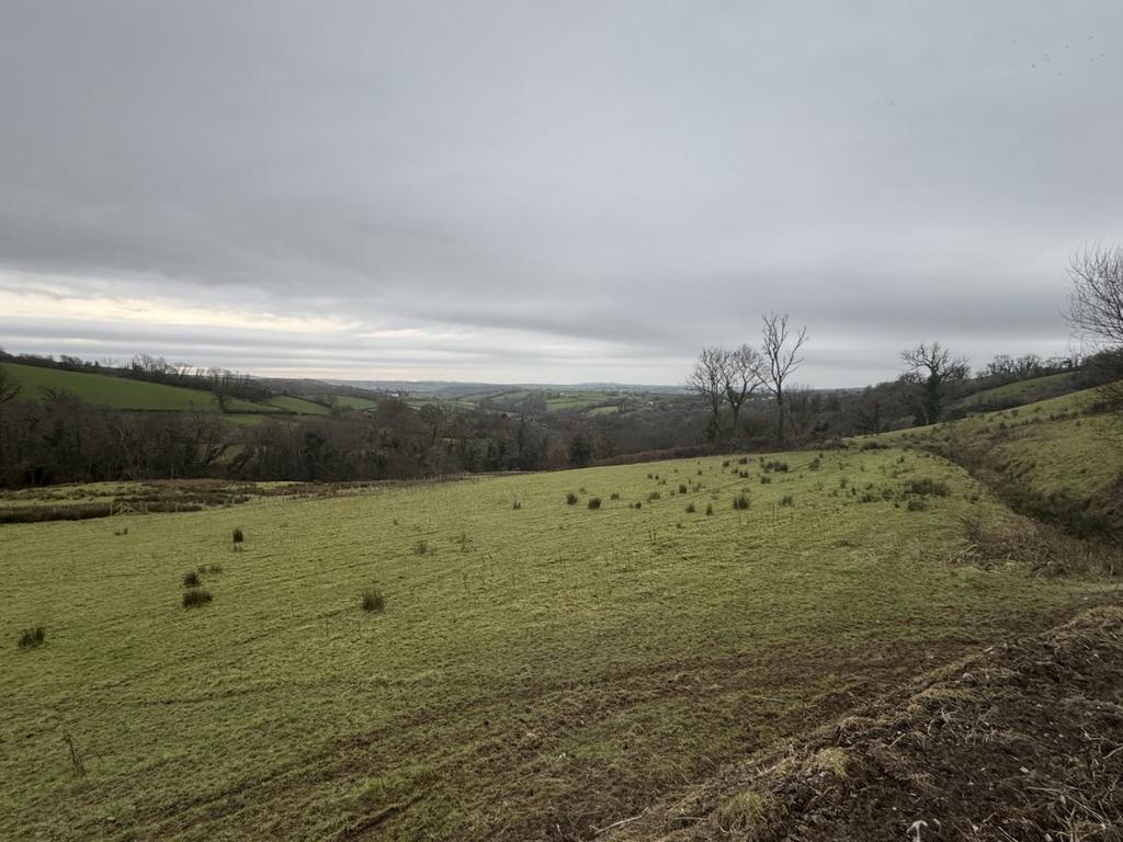 The agricultural land