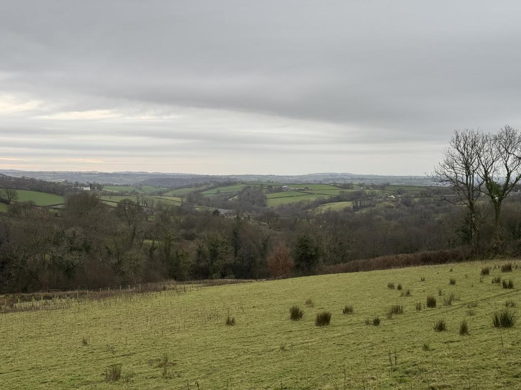 The agricultural land